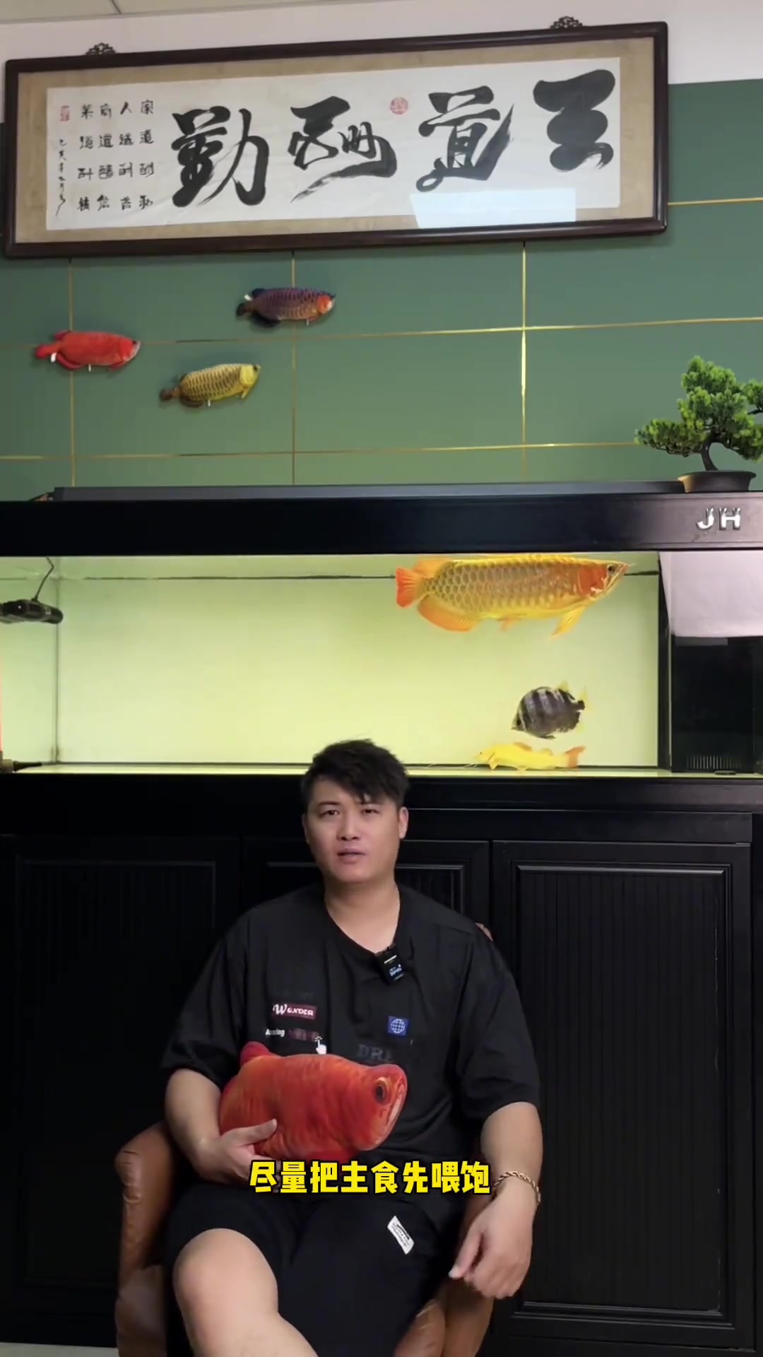 龙鱼宝典一正确饲养手法