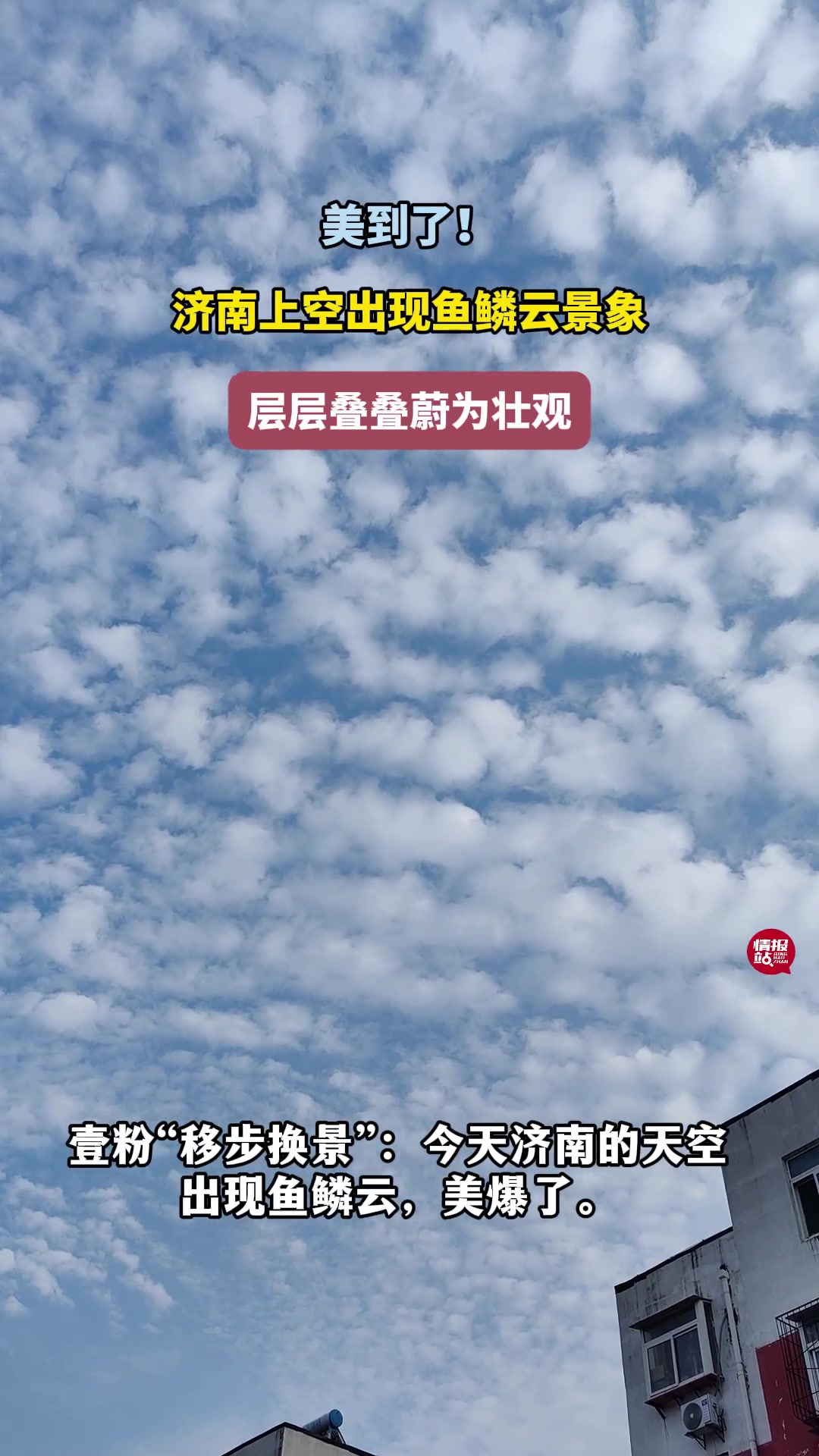 天气情报站|美到了!济南上空出现鱼鳞云,层层叠叠蔚为壮观