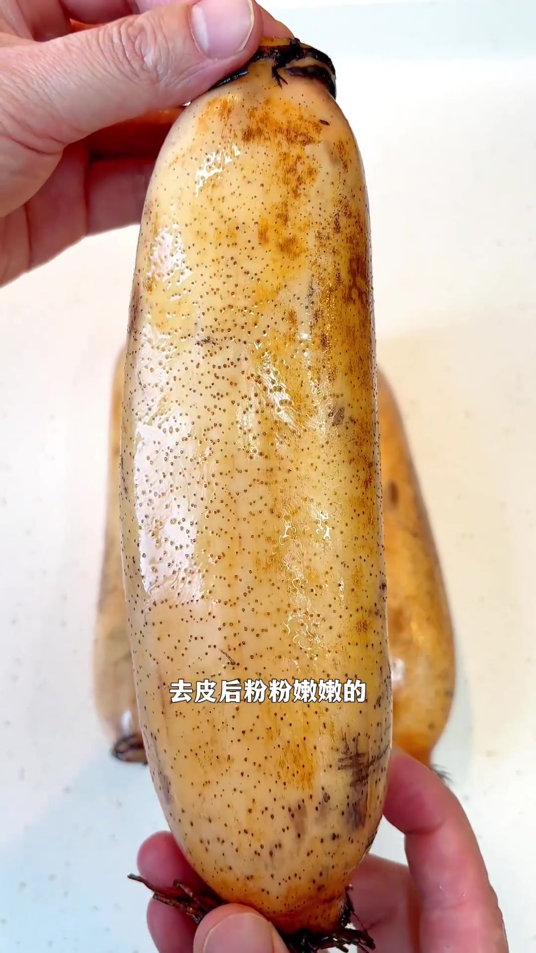 湖北筒子骨藕汤出战!滴滴香甜有相伴,好喝听了头~