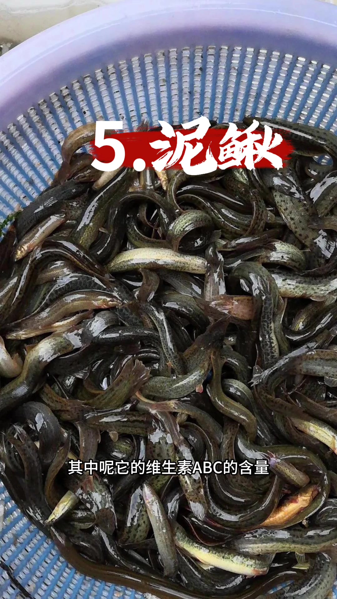 你们的龙鱼吃什么？