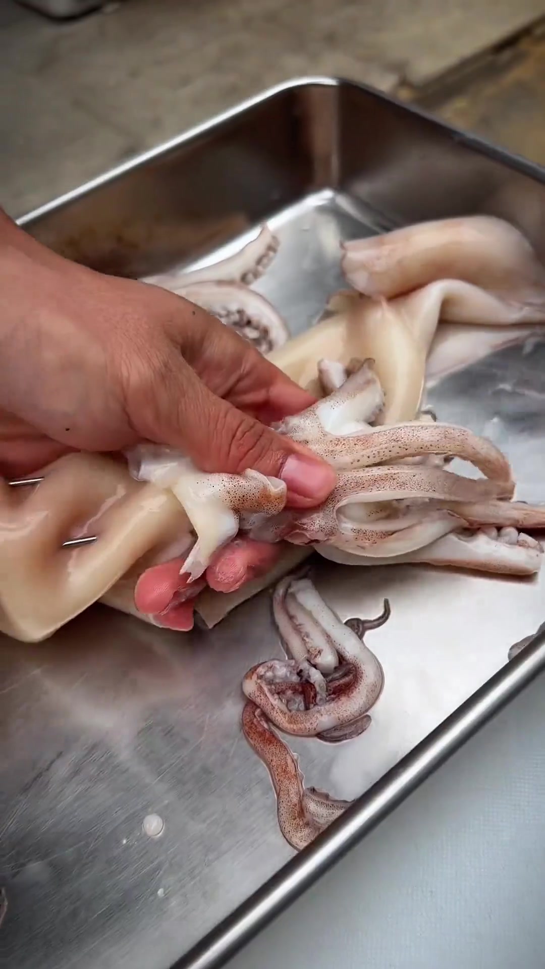 现串现烤炭烤大鱿鱼，太香太好吃啦！