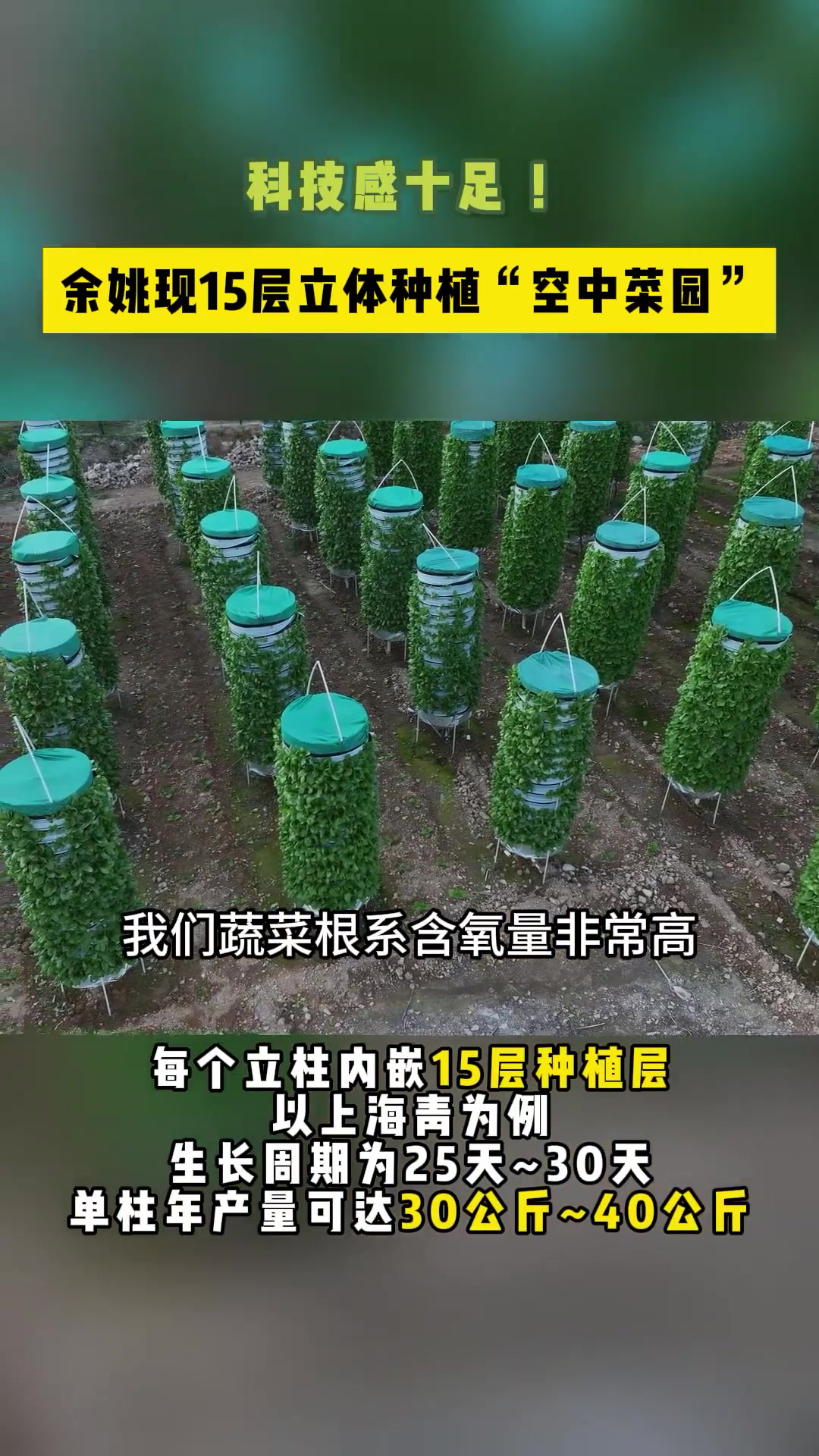 科技感十足!宁波余姚现15层立体种植“空中菜园”,共盘活了23亩撂荒,主要用来种植各类果蔬