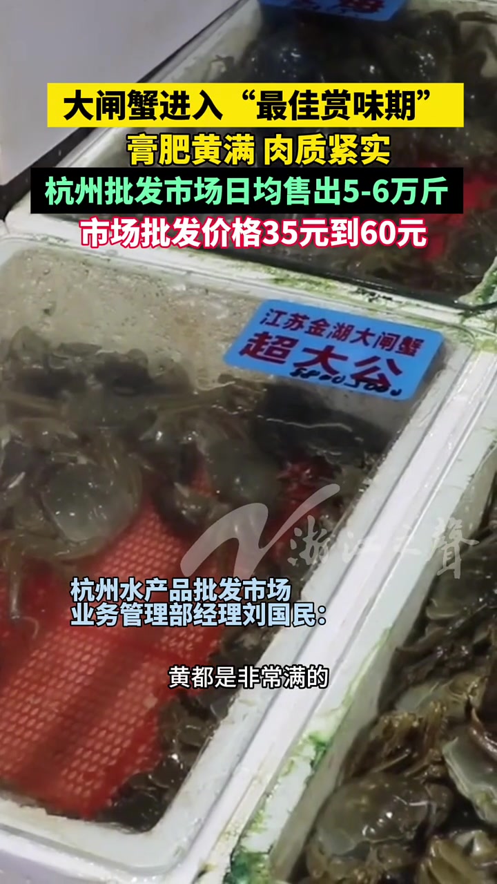 膏肥黄满,大闸蟹进入“最佳赏味期”!杭州水产批发市场日均售出5-6万斤,批发价格35元到6
