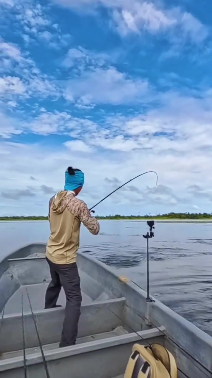 巴布亚黑鲈力气确实大