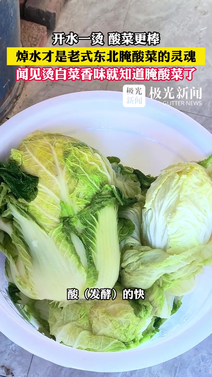 焯水才是老式东北腌酸菜的灵魂,闻见烫白菜香味就知道腌酸菜了!