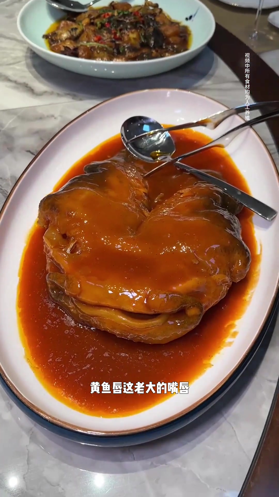 就这一桌东北菜估计很多东北人都没吃过吧，太旮骨了！