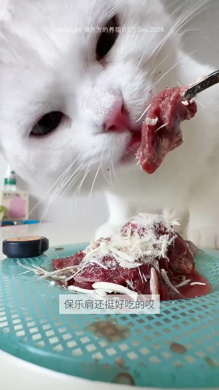 晚餐剪片保乐肩吃好像叶子！