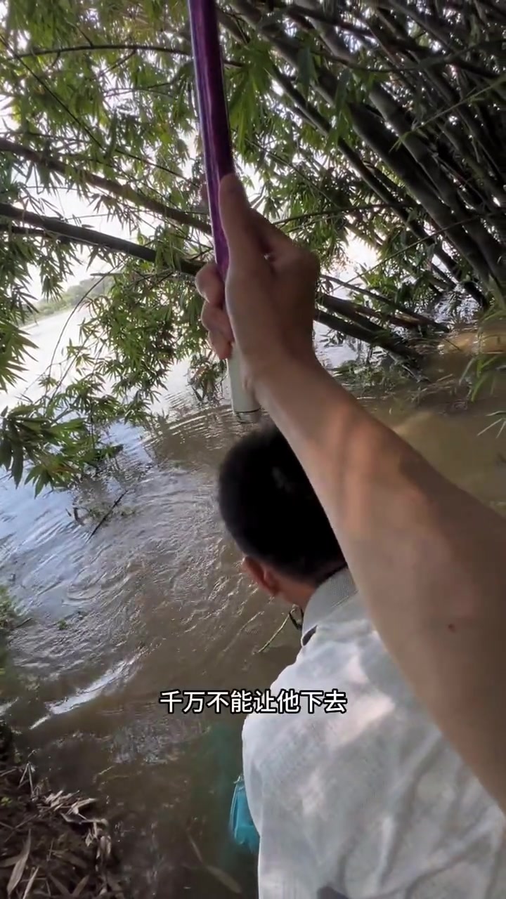 越南开闸放水后野钓，喜获二级保护芝麻剑鱼