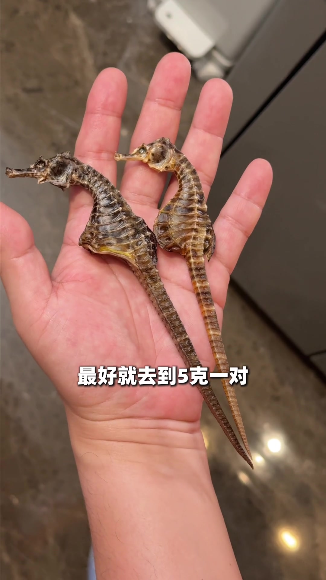 小朋友能饮海马汤吗?煲汤要注意啥?
