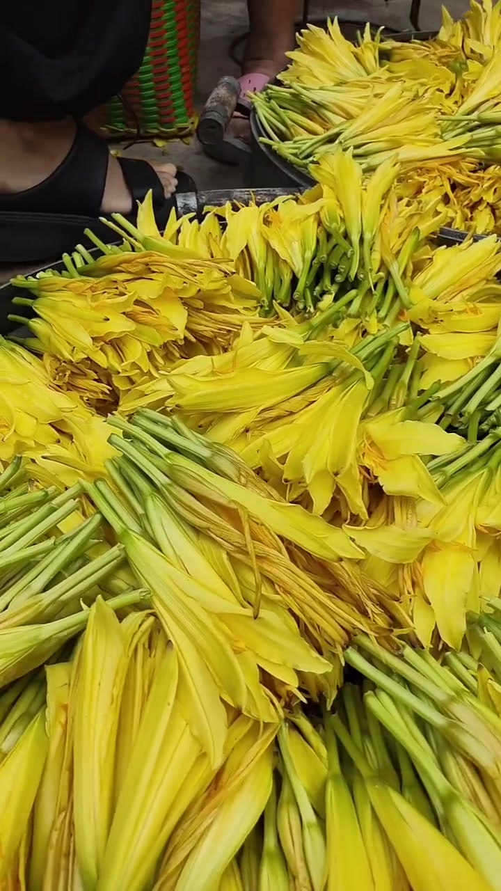 每年婆婆都给我们好多黄花菜，孩子们都快吃够了。今天从采摘到蒸到摆盘到晾晒才知道原来每一根黄