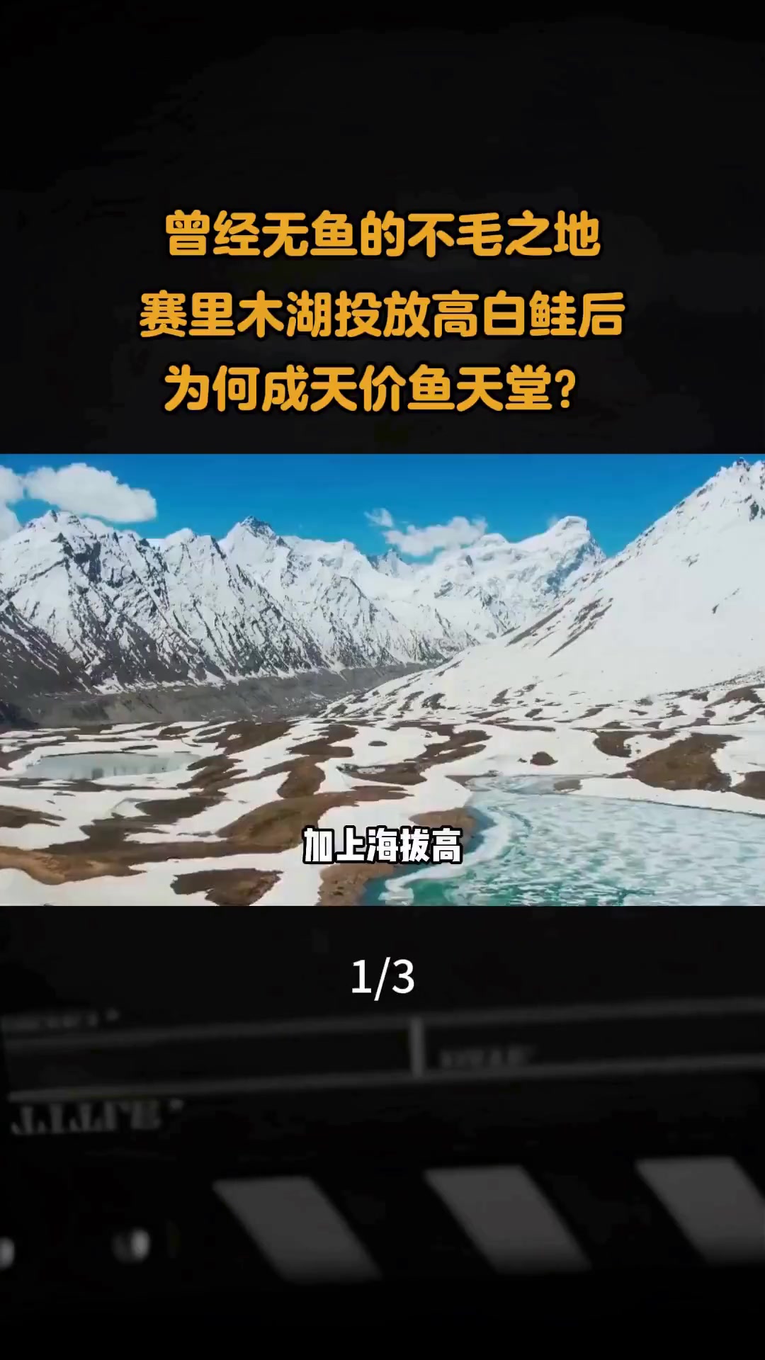 曾经无鱼的赛里木湖,投放高白鲑后为何成天价鱼天堂?