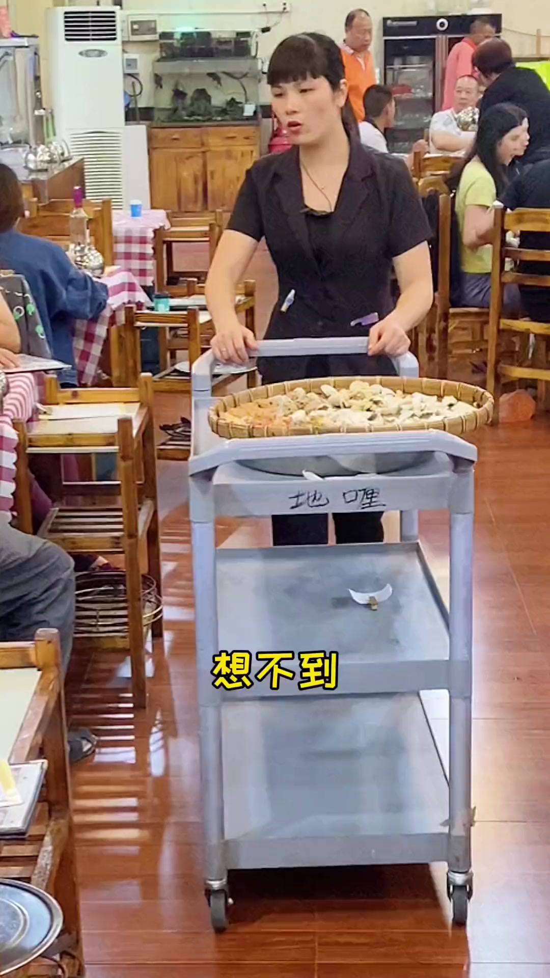 南海尝一鱼几味筲箕菜,品顺德味道!