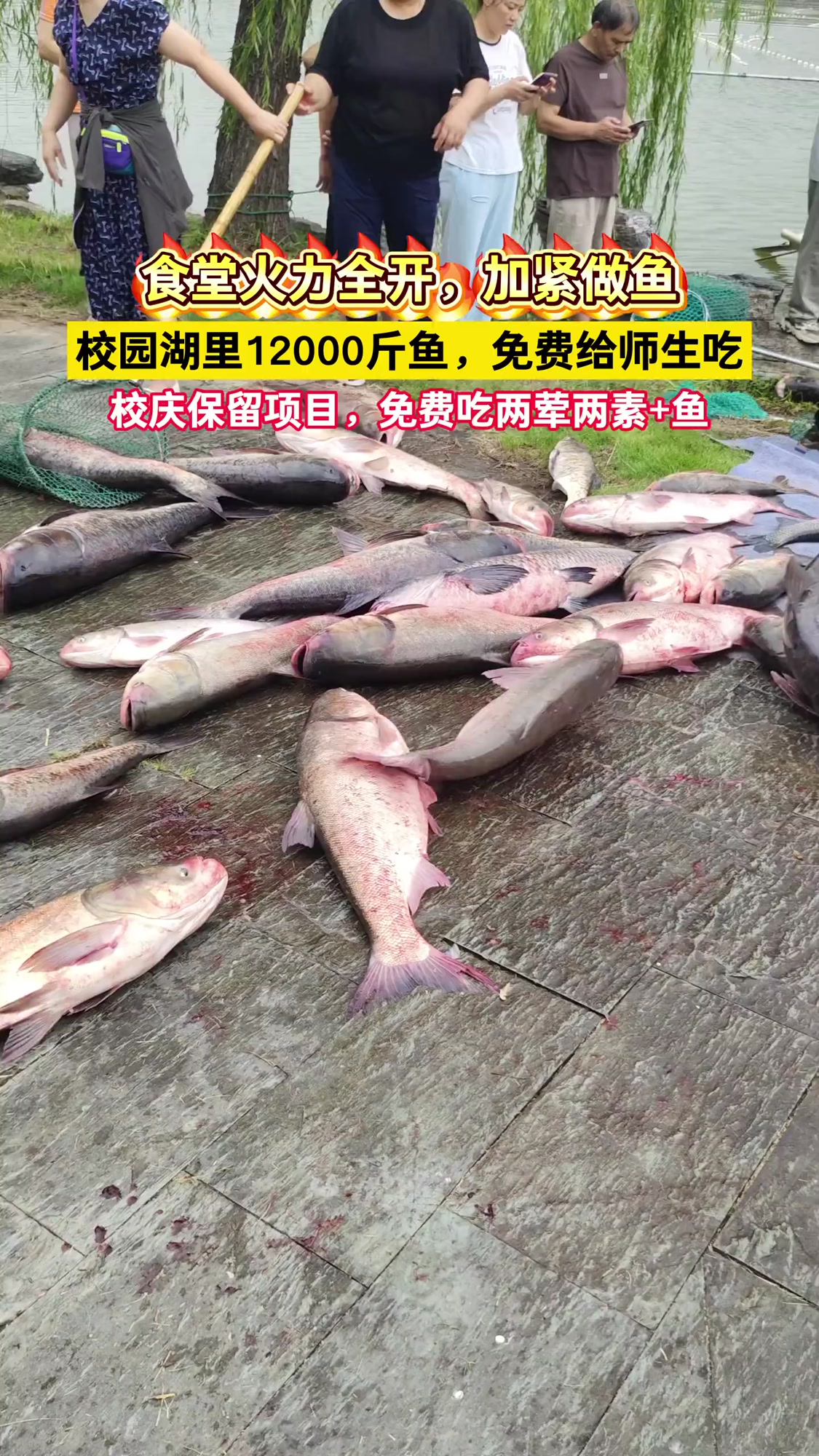 金职校庆,请全校师生吃两荤两素+鱼。自2000年开始,每年校庆月学校都会开展捕鱼节活动,请