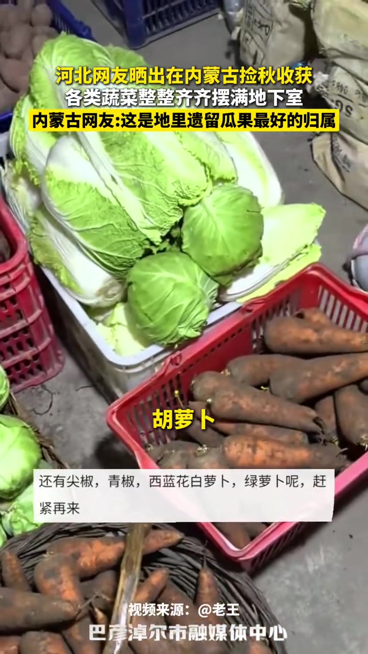 河北网友晒出在内蒙古捡秋收获，各类蔬菜整整齐齐摆满地下室，内蒙古网友：这是地里遗留瓜果最好