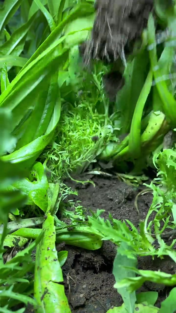 冬天来了,天突然就冷了,买点菜给老爸老妈做个火锅吃,一家人坐在一起吃冬天第一顿火锅!你们冬