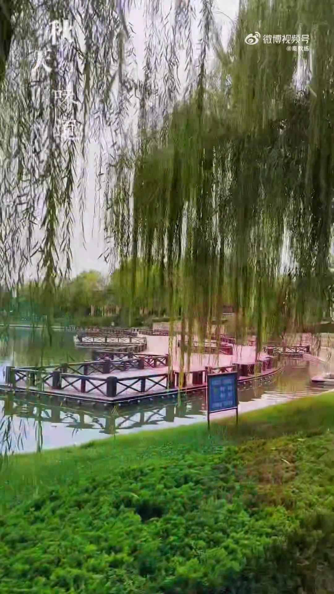 跑步旅游第八站,德州圆满收官!一口喷香的德州扒鸡解馋,一场酣畅的长河公园跑尽兴——这里简直