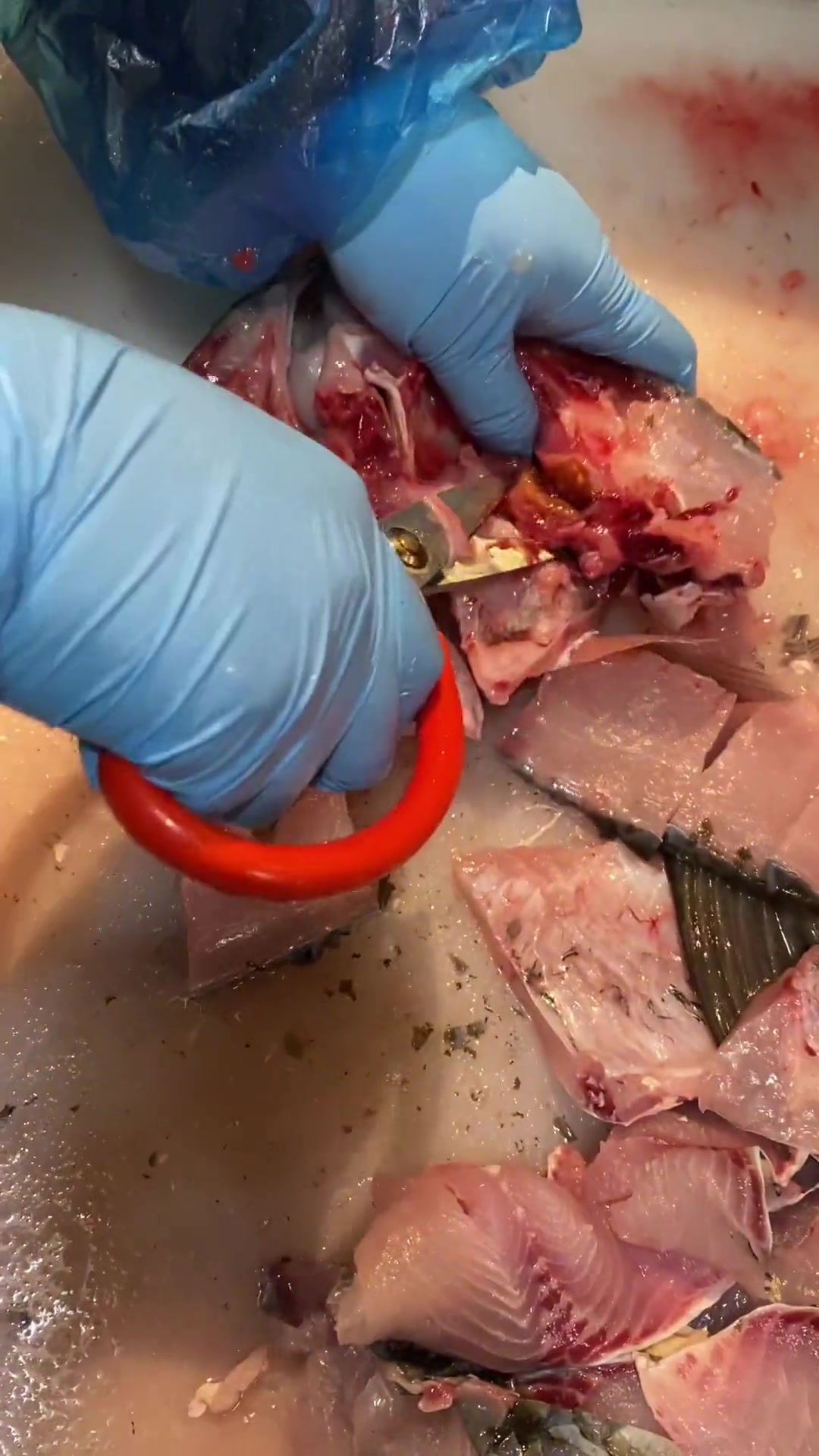 草鱼去骨切片的手法