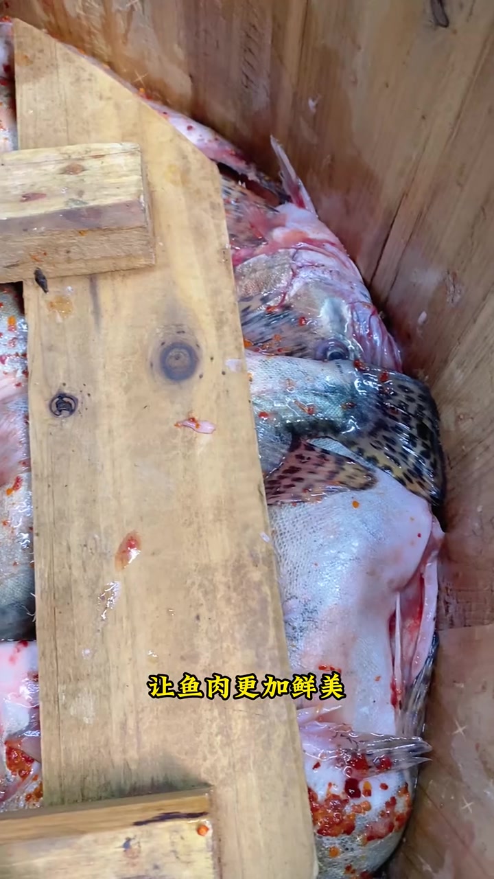 这个徽菜代表菜闻着香吃的更香，肉质鲜嫩爽滑没小刺，都来看看