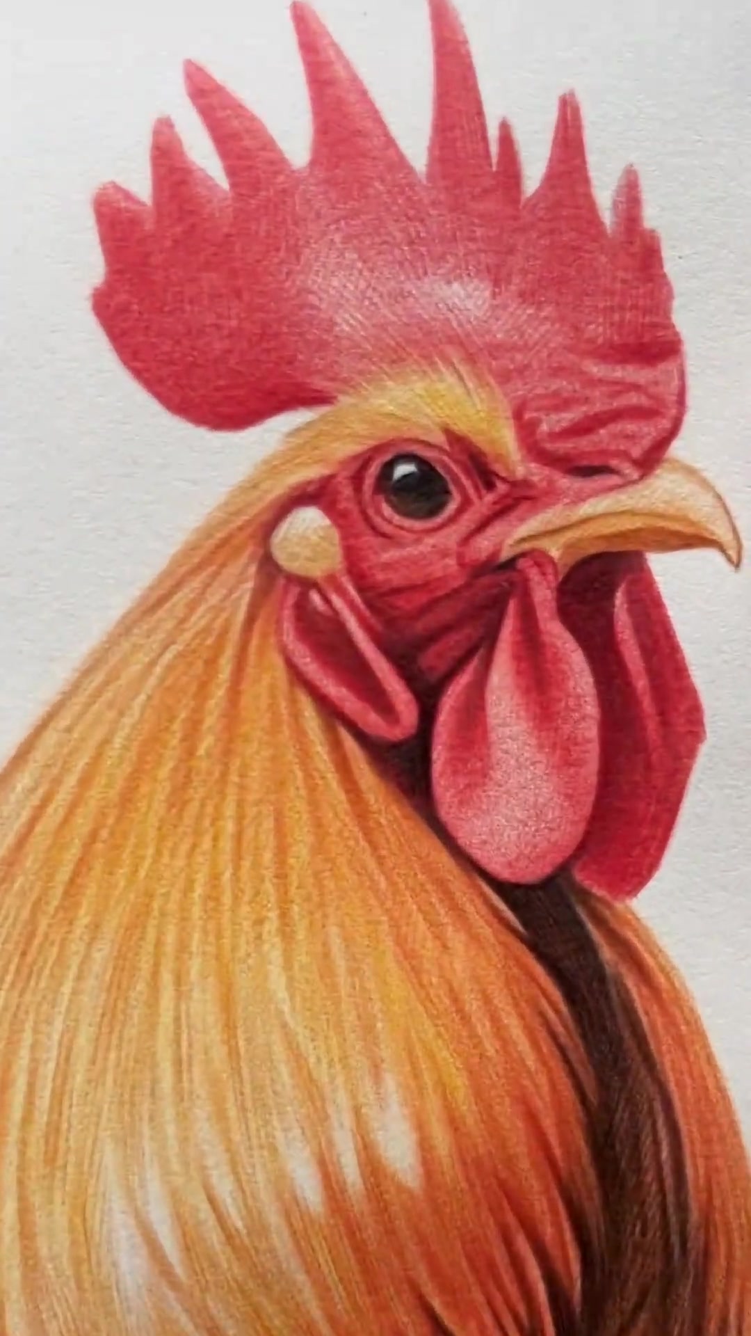 丫头花三天画的“金鸡报喜”,大家看看画得咋样?