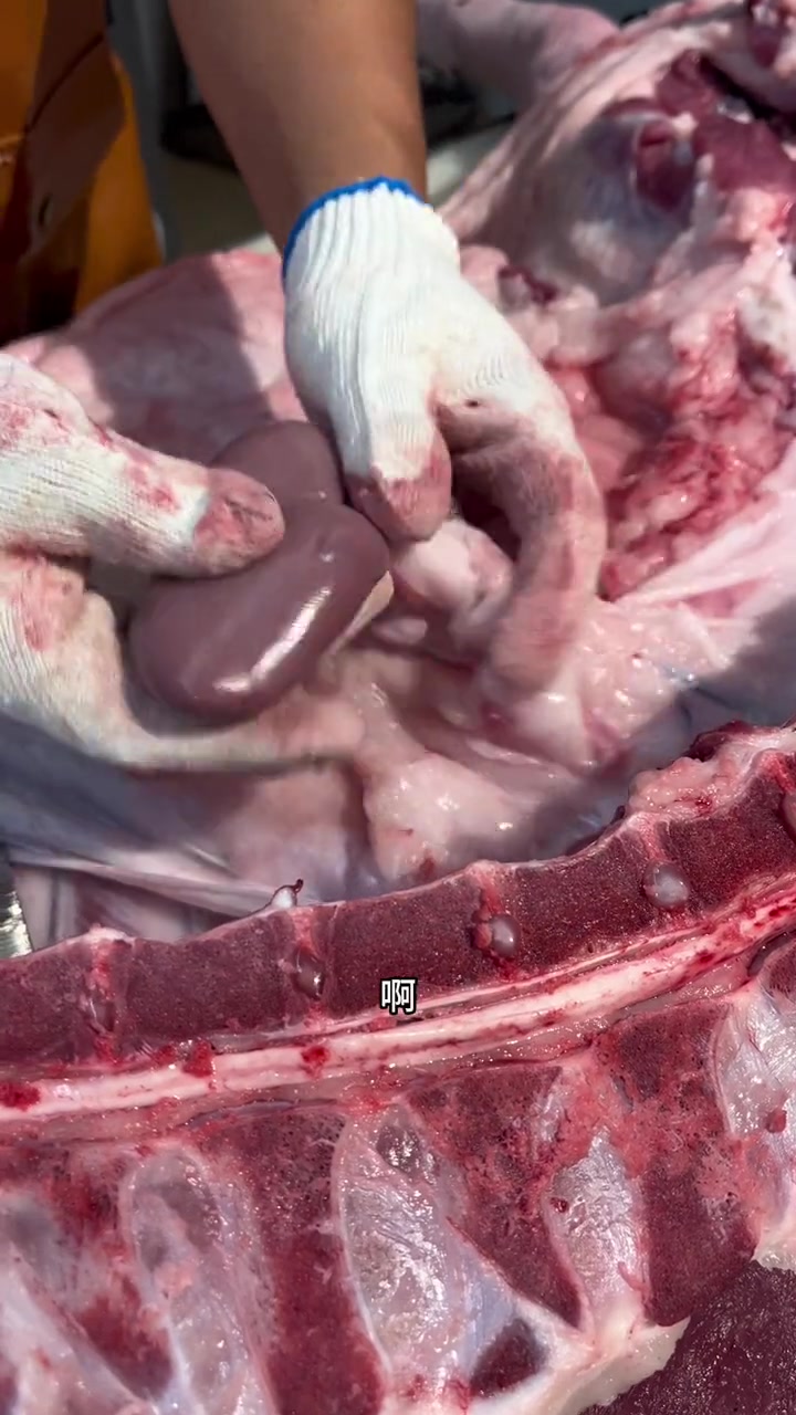 分割半边猪，00后一起来看看猪肉怎么选