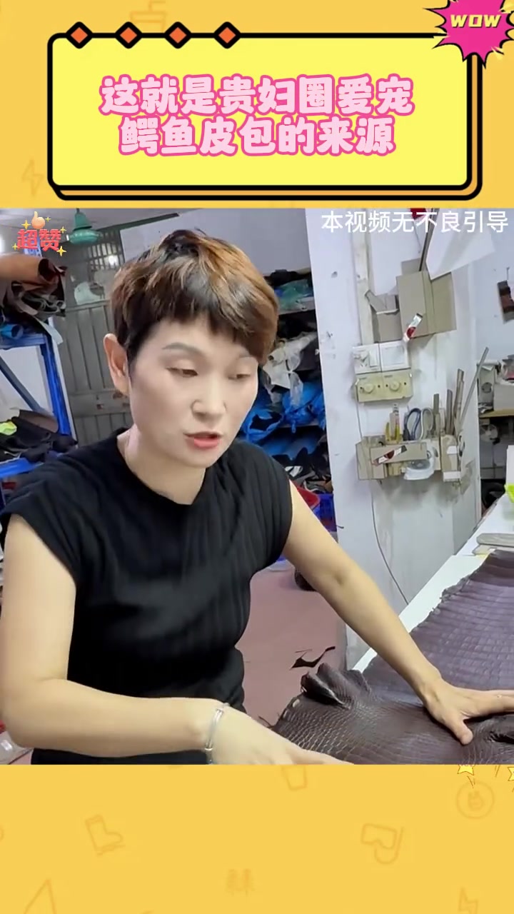 这就是贵妇圈爱宠鳄鱼皮包的来源