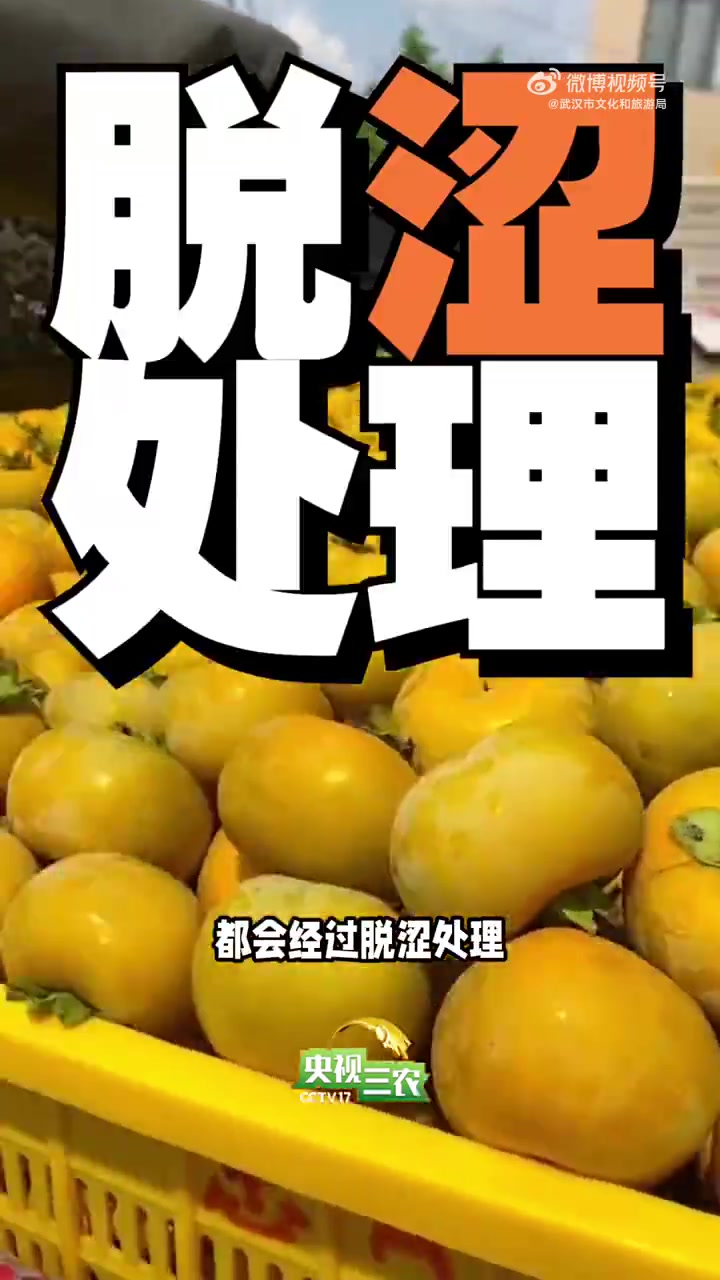 「柿子背锅侠 谣言退退退!」它是深秋限定款美食,也是被谣言缠身的“背锅侠”。空腹不能吃,饭