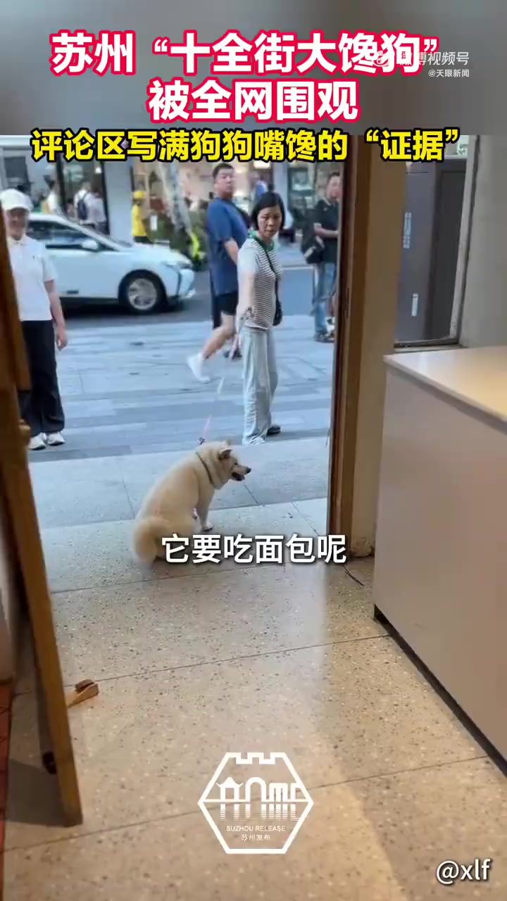 「狗狗在面包店前赖着不走 全网围观贴“证据”」全网都在证明苏州狗狗糖糖的贪吃 近日,有网友