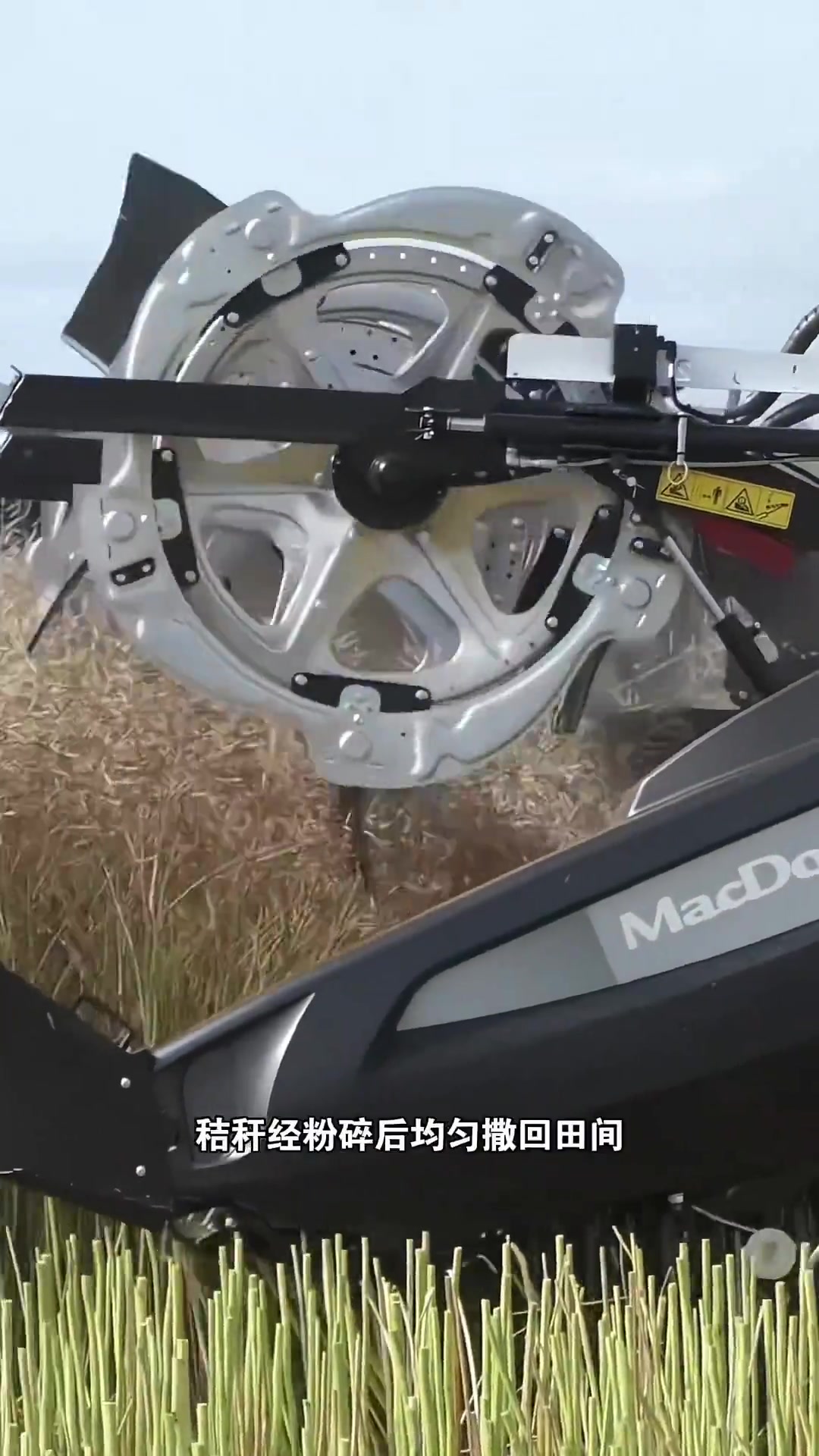 芬特系列收割机收获油菜籽的精彩场景