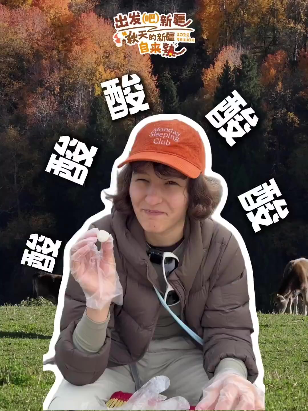 酸酸酸，太酸了！文旅创作者现场体验牧民纯手工酸奶疙瘩，酸出表情包！