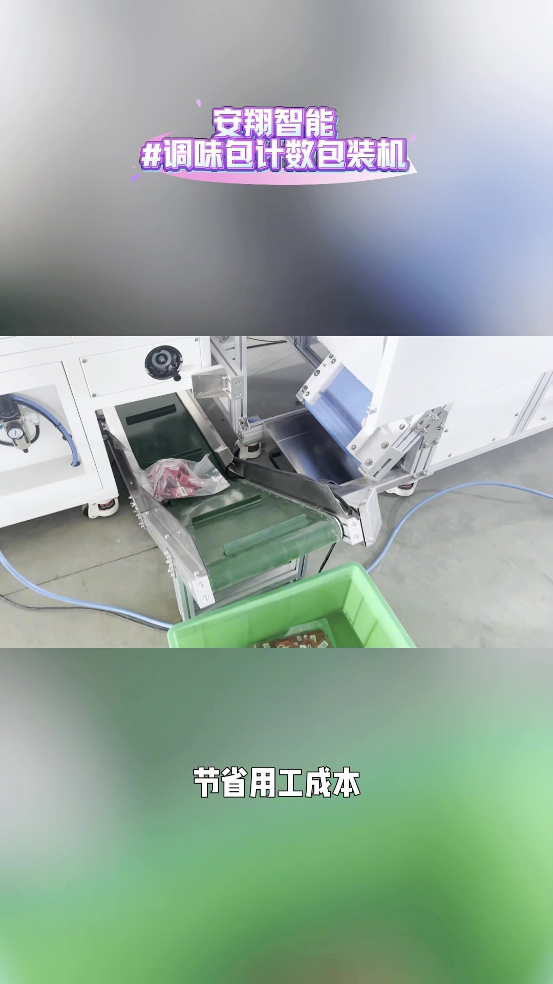 食品调味包计数包装机