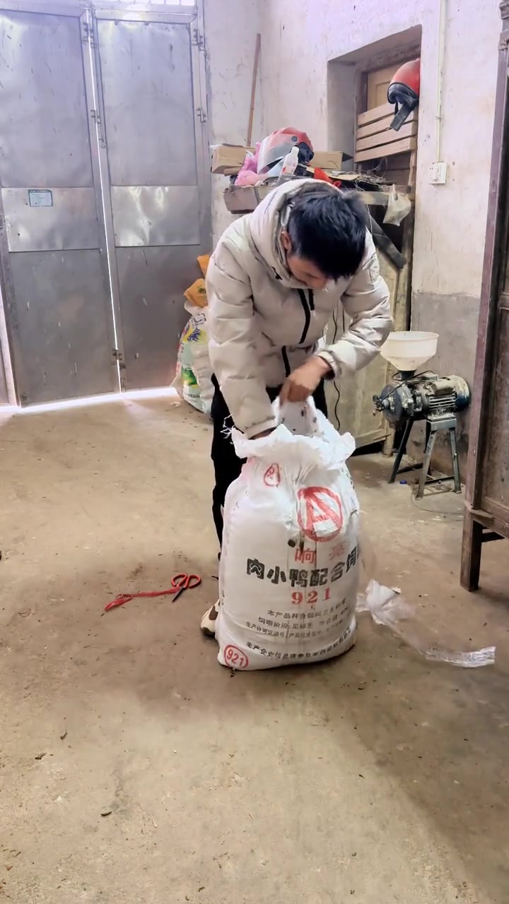“每天就两件事:睁眼搬砖 闭眼充电 牛马的一天又开始了” 常年回收山鸡统毛