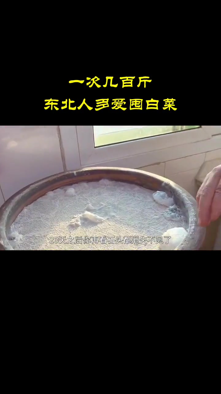 东北人超爱囤白菜！大缸酸菜做法超绝！