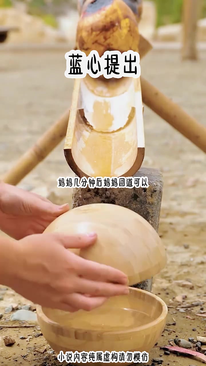铭《蓝心提出》小说