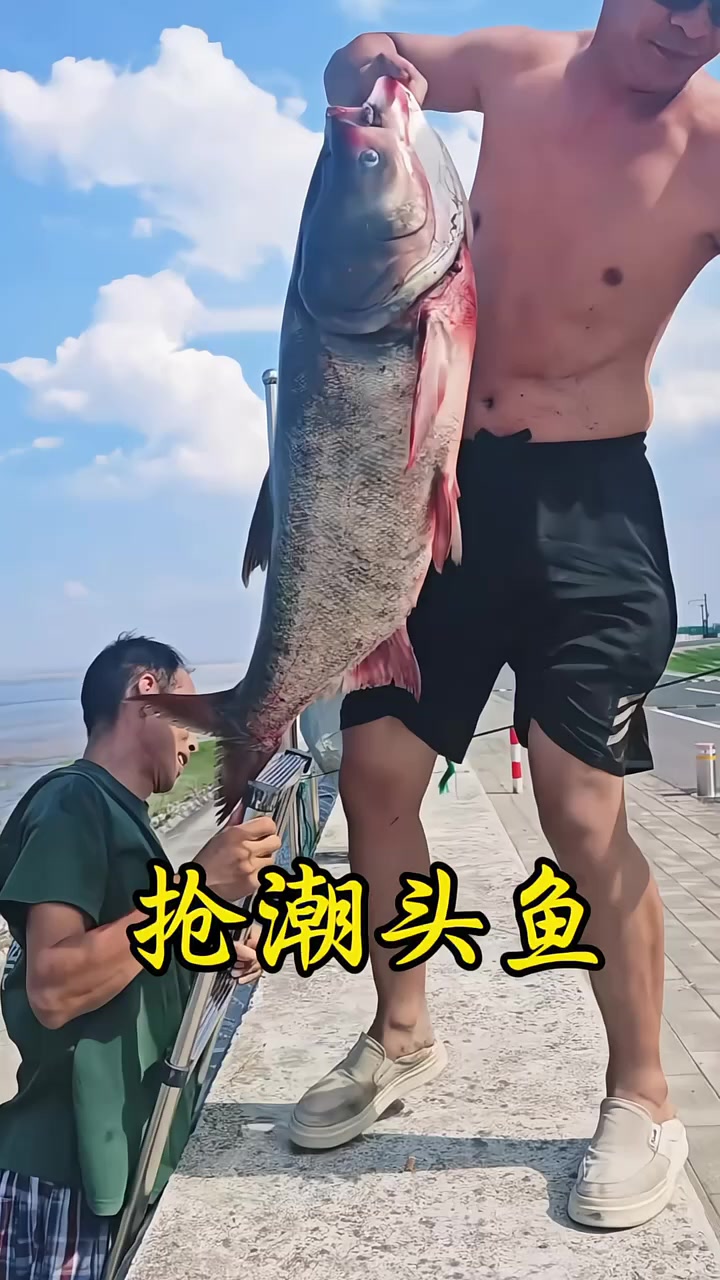 钱塘江抢潮头鱼