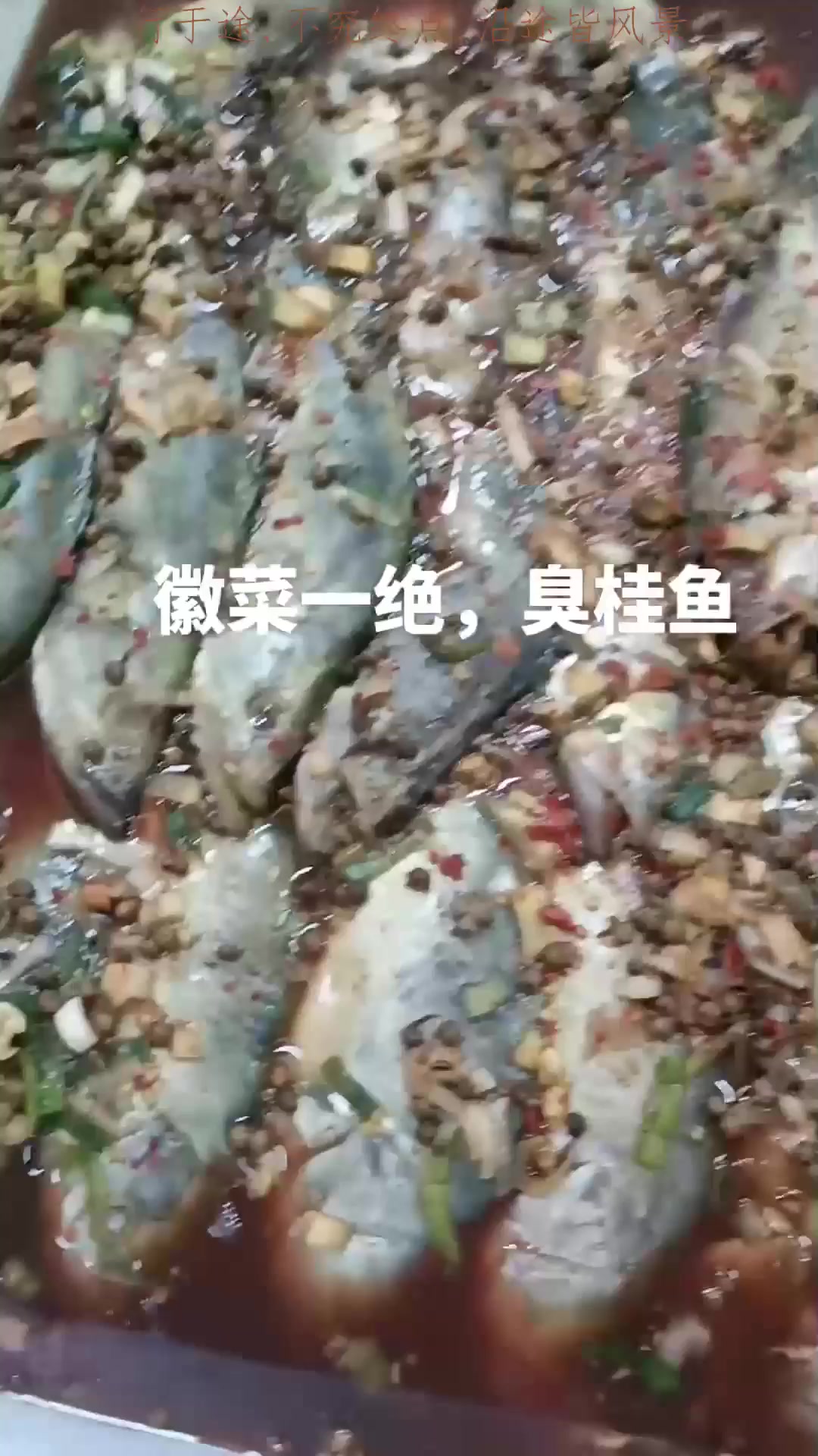 假期旅游,年年有鱼旅游推荐
