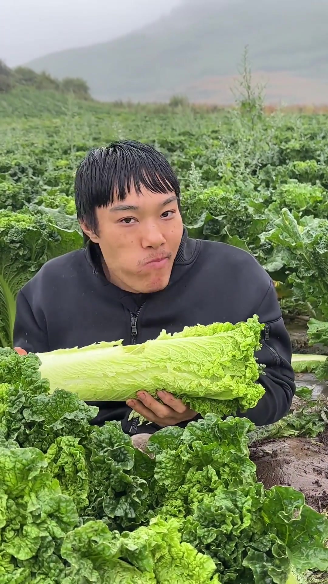 威宁青口白菜，脆脆甜甜真的很不错哦