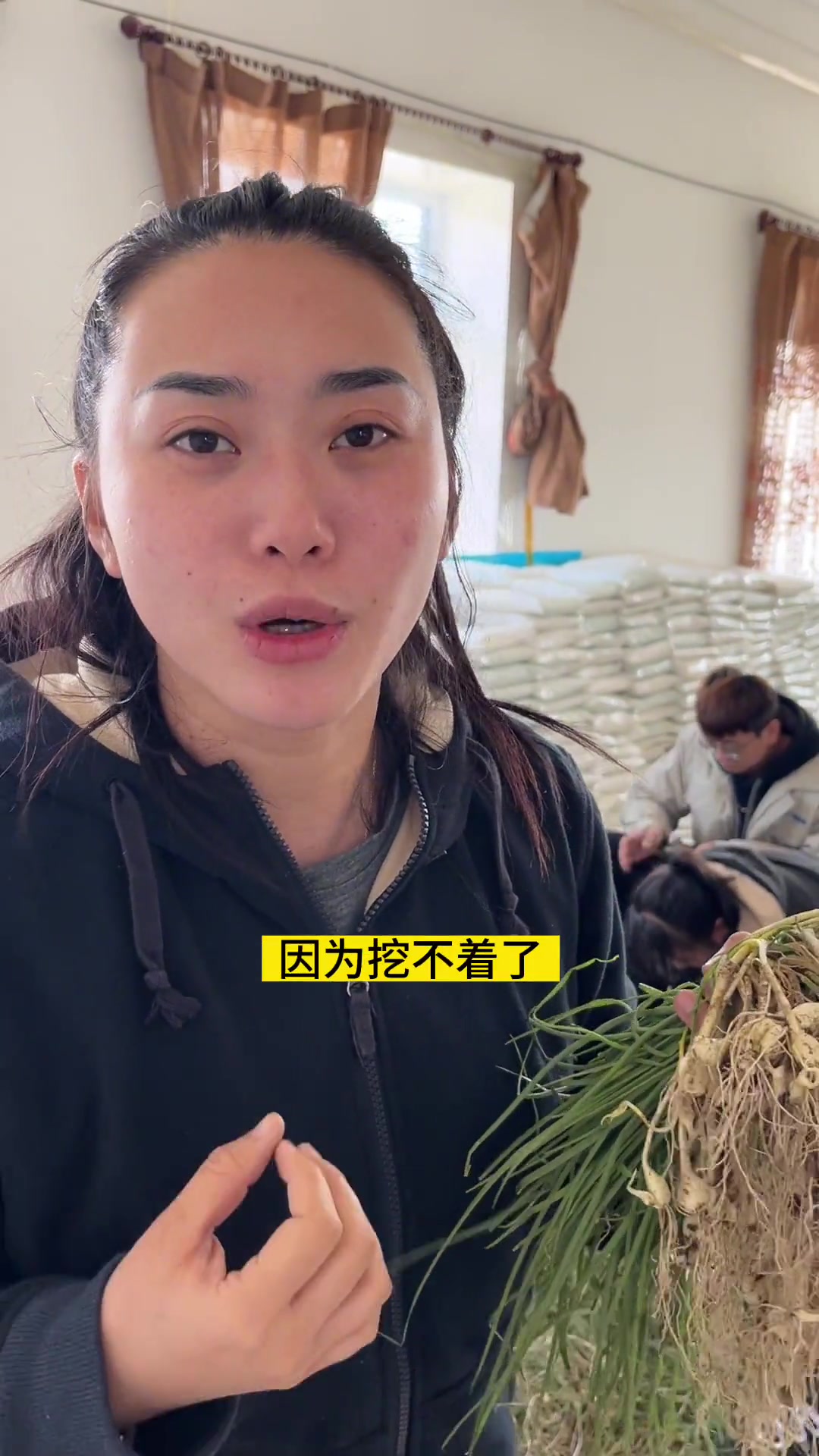 一年仅能吃20多天的山野菜，你吃过吗？