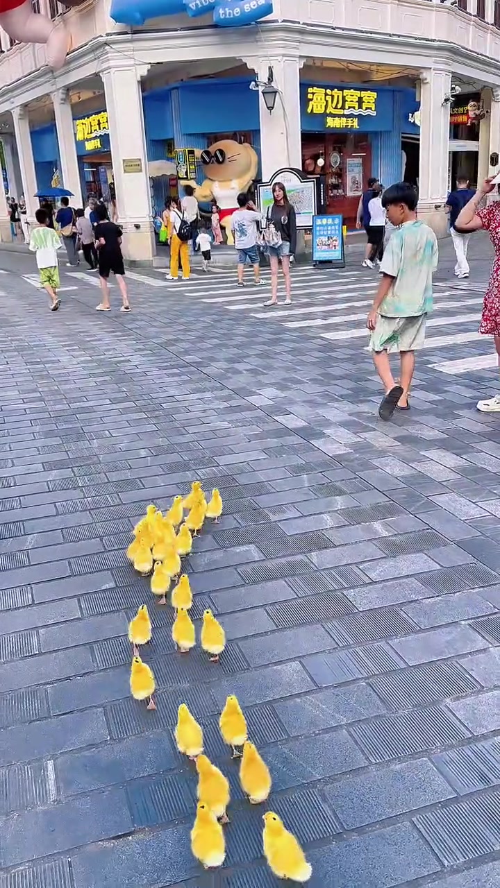 带鸭子去逛街看看路人都是什么表情!