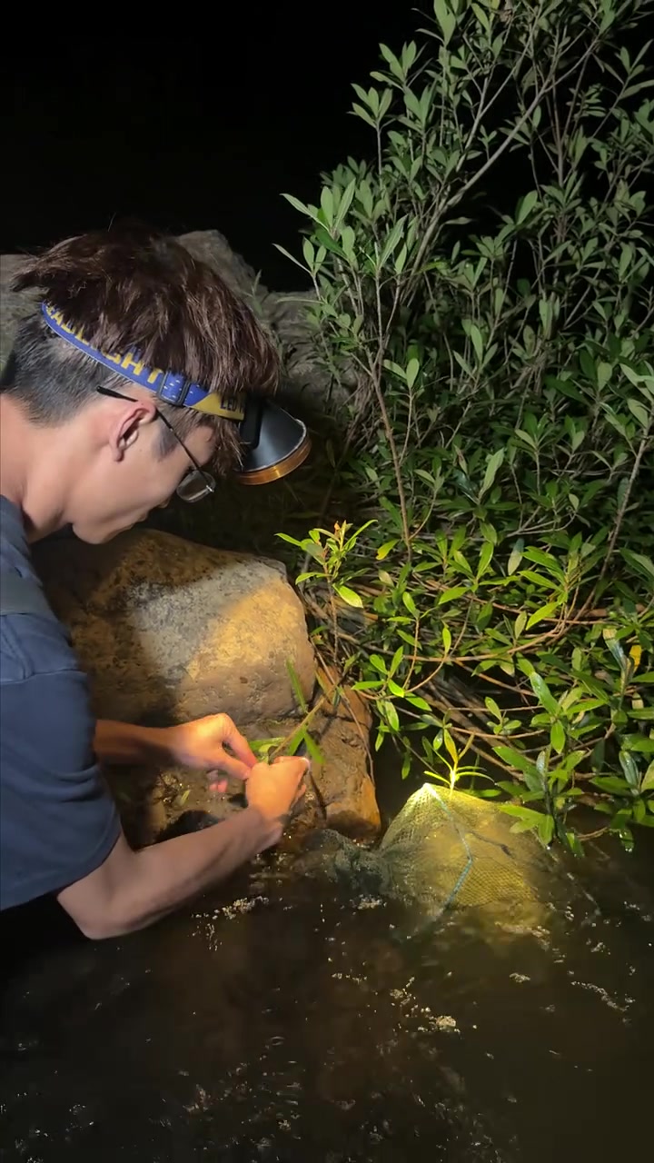 嘉棋想要吃河虾熬粥，那不得安排起来