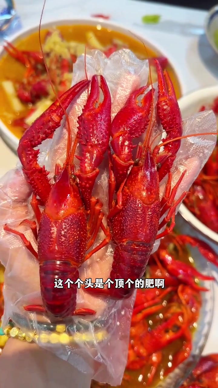 苏州不一样的龙虾馆!好吃得让人上瘾的咖喱小龙虾,我愿意来n次