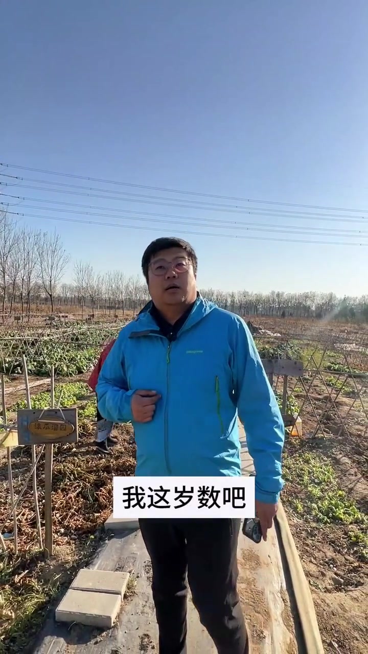 北京郊区私家菜园