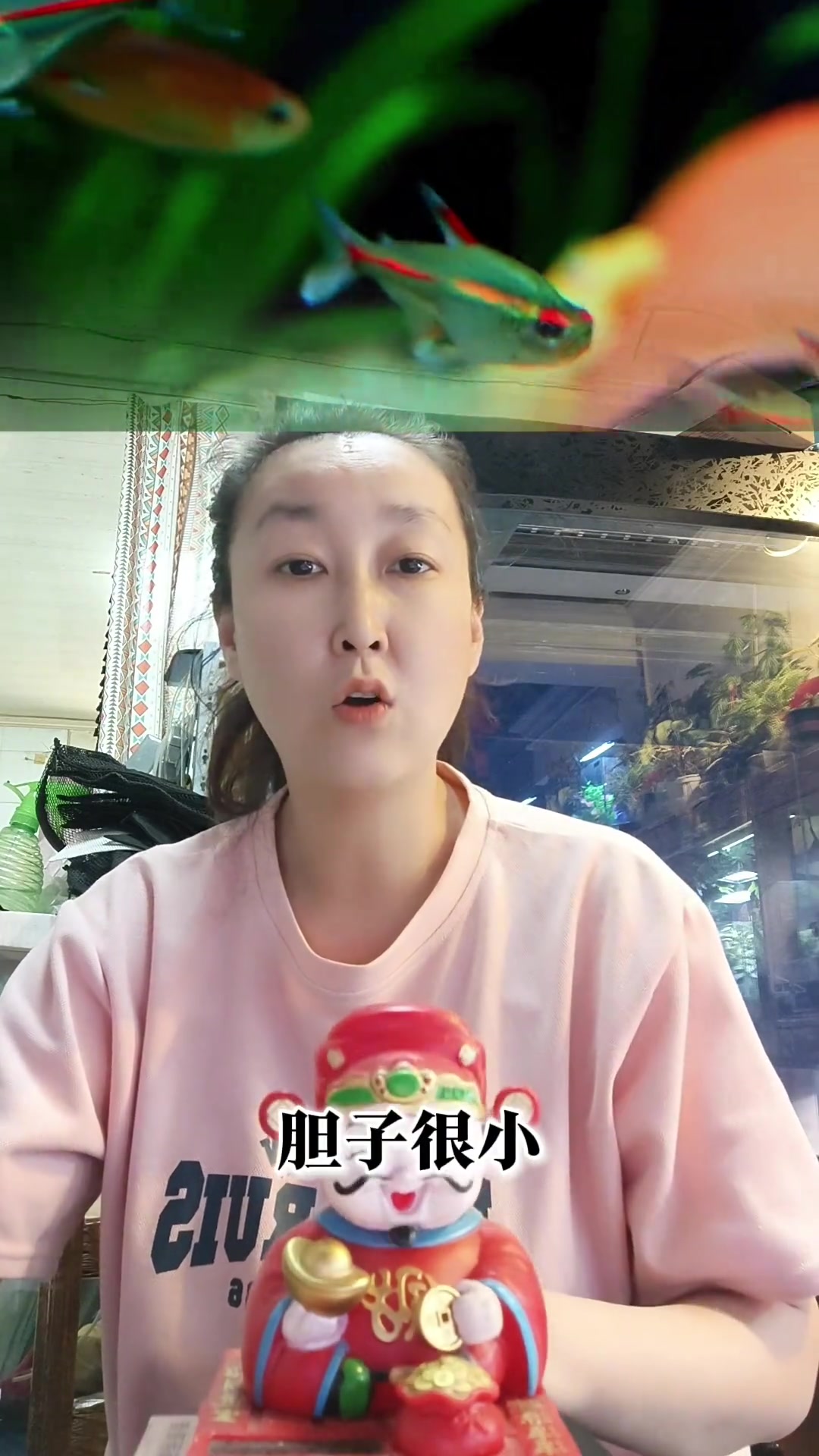 新手买灯科鱼，这些品种值得推荐