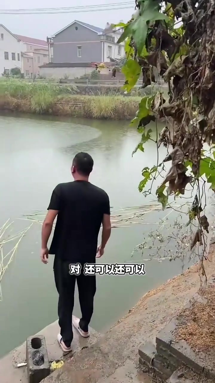 10块钱一斤包下口三年没干过的鱼塘里面的鱼究竟会有多少第一集