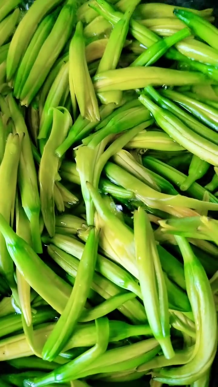 超好吃有营养的五种野菜,荠菜你肯定爱!