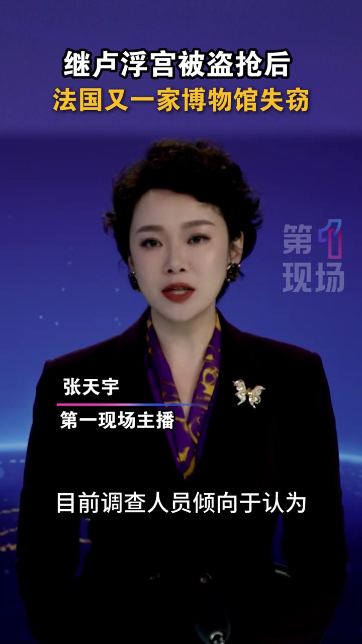 巴黎卢浮宫博物馆抢劫案发生后不久,法国一家小型博物馆再发失窃事件,约 2000 枚金币和银