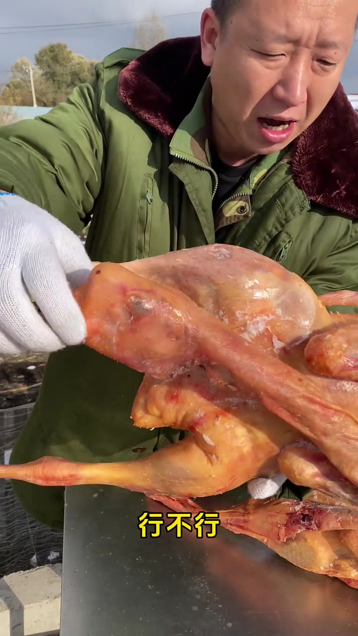 东北农村散养大鹅,吃玉米长大的200多天的溜达鹅,焦黄焦黄的,嘎嘎香