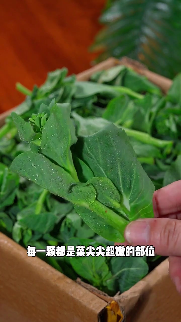 苏北霜冻后的青菜苔真的很美味，软软糯糯的清甜好吃