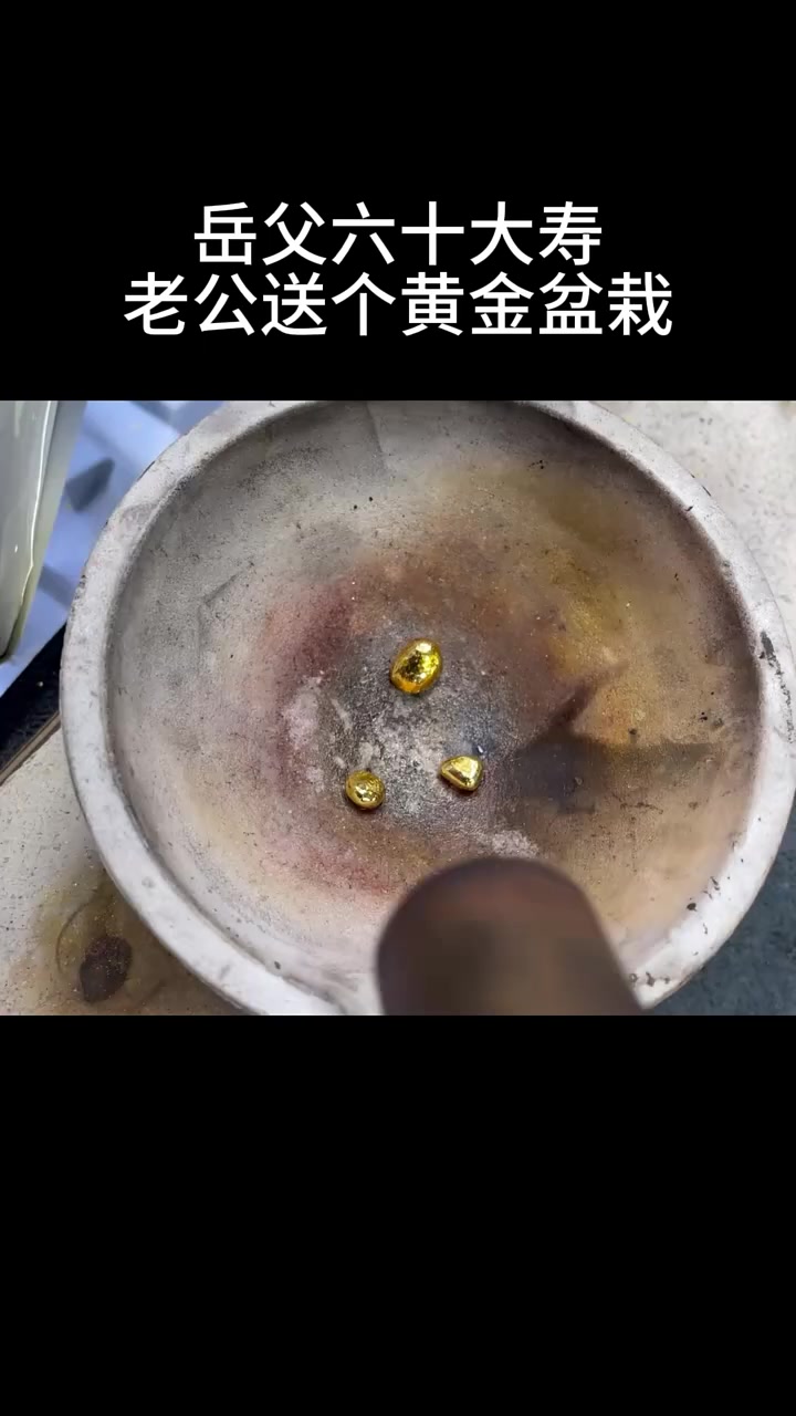 岳父六十大寿,老公送个黄金盆栽,火烧验真假 喜爱度激励计划  潮流生活成长之星