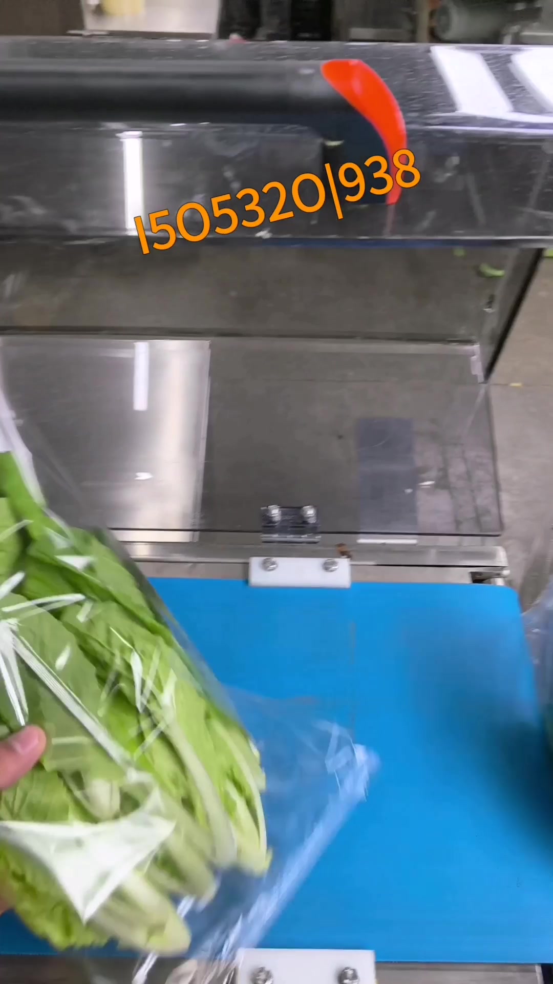 生鲜超市蔬菜包装机青岛迈德龙包装机械水果保鲜膜裹包机枕式包装