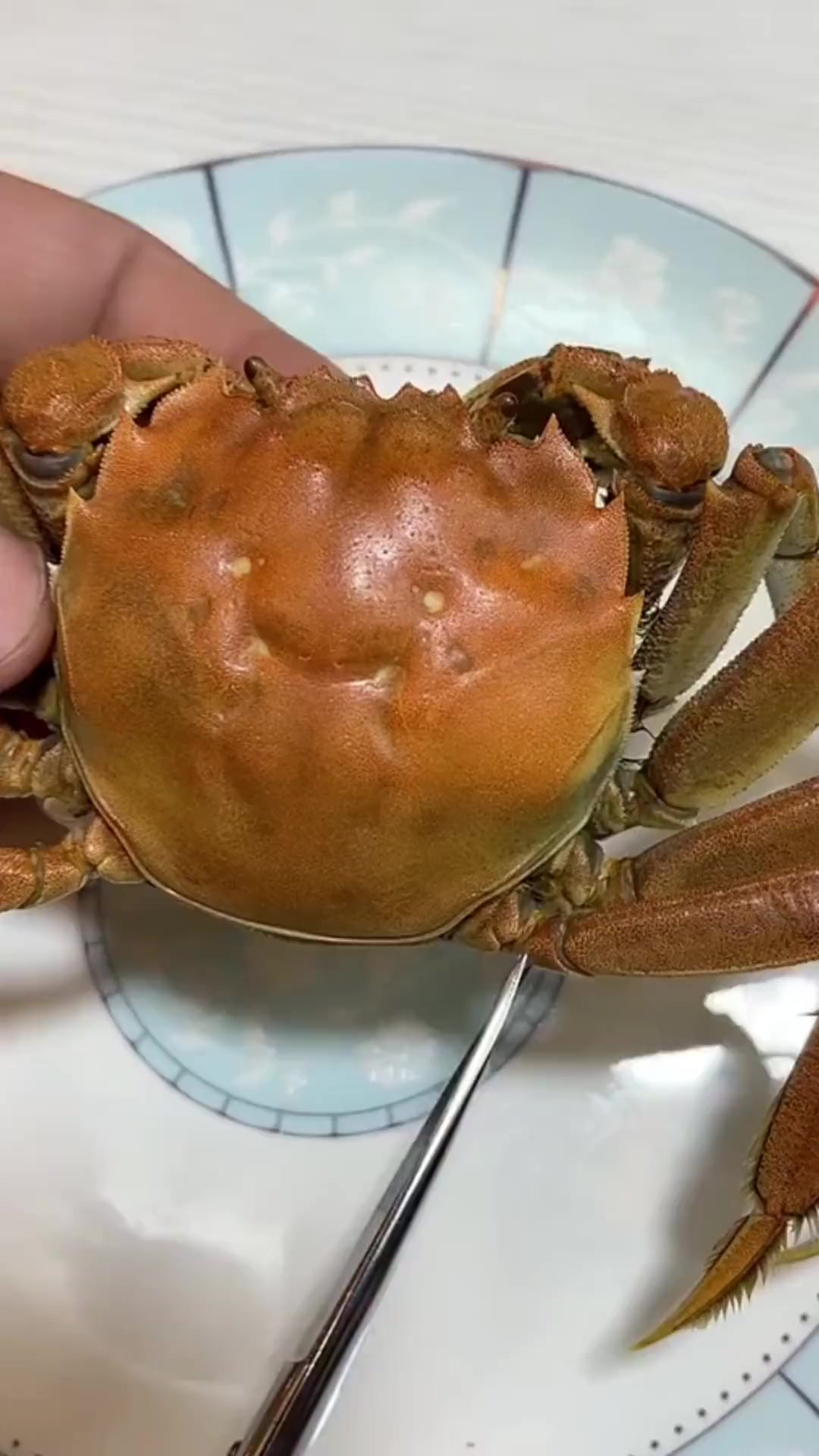 螃蟹吃法及部位禁忌，速来围观，记得点赞收藏！